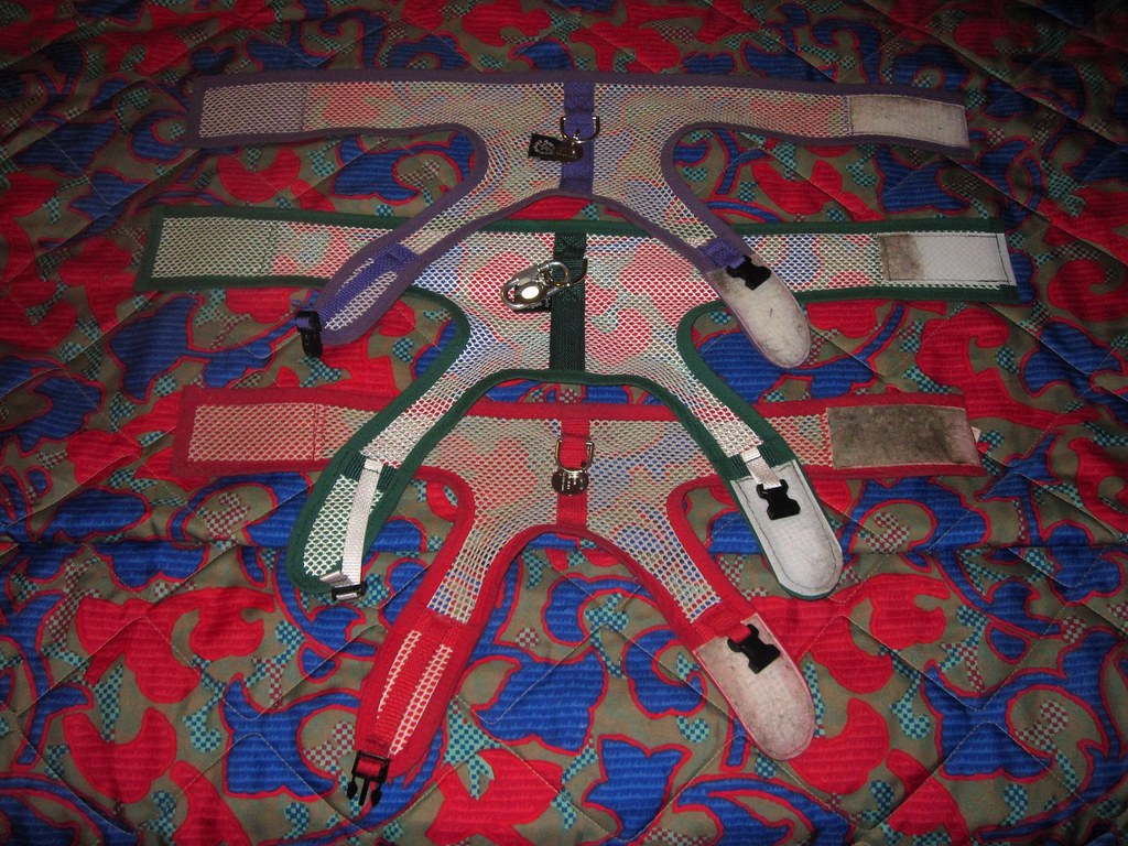No-Pull Y-Geschirr
